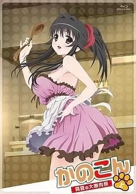 我的狐仙女友:真夏的大谢肉祭·上海报