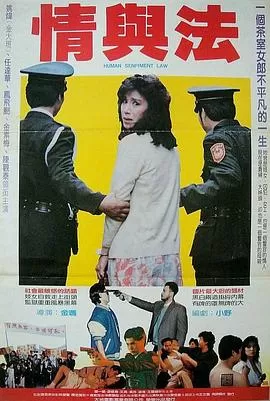 情与法海报