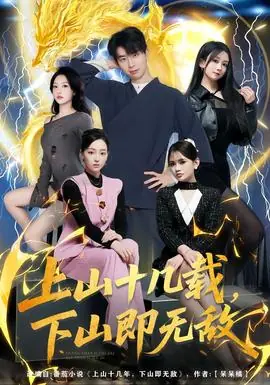上山十几载,下山即无敌海报