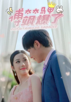 傅太太马甲飒爆了海报