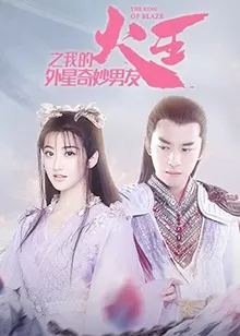 火王之我的外星奇妙男友海报