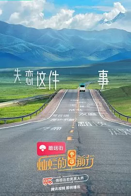 灿烂的前行海报