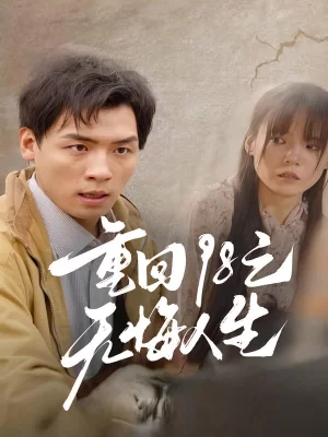 重回98之无悔人生海报