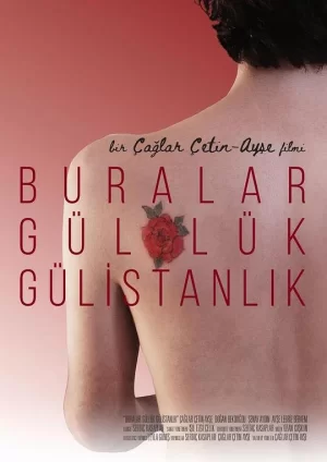 这里是一片玫瑰园海报