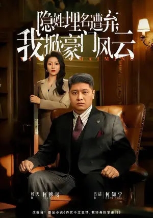 隐姓埋名遭弃,我掀豪门风云海报