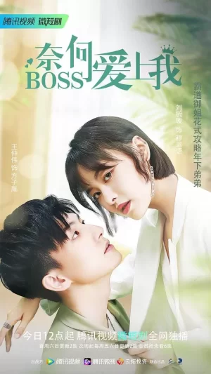 奈何BOSS爱上我海报