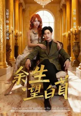 余生望白首海报