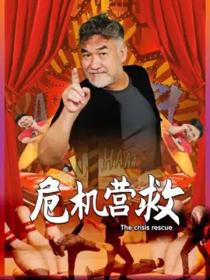 危机营救海报