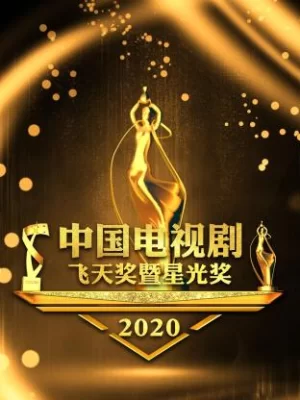 中国电视剧飞天奖暨星光奖2020海报