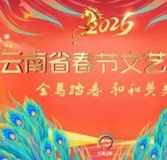 2026云南卫视春晚海报