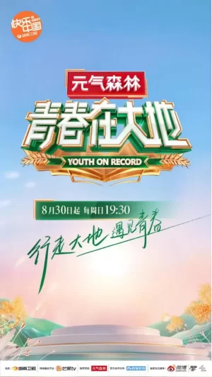 青春在大地海报