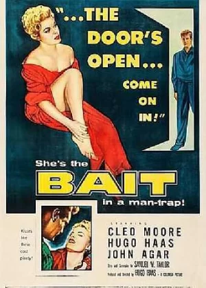 诱饵海报