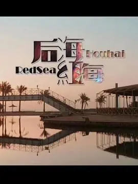 后海&middot;红海海报