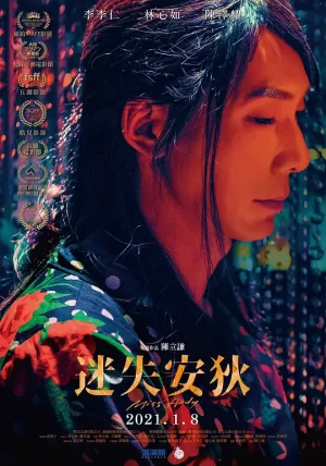 迷失安狄[影视解说]海报