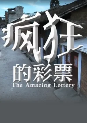 疯狂的彩票海报