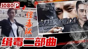 缉毒二部曲海报