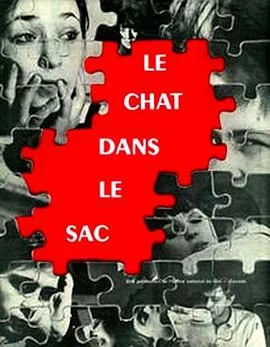 袋子里的猫海报