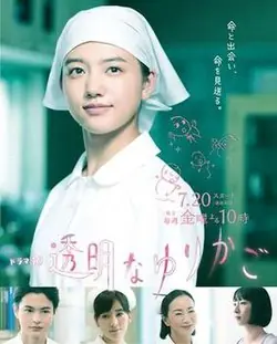 透明的摇篮海报