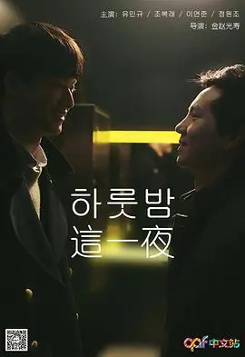 这一夜하룻밤海报