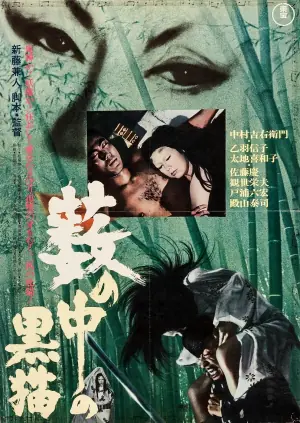 黑猫海报
