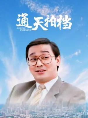 通天拍档海报