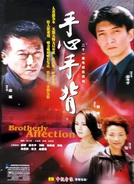 手心手背[电影解说]海报