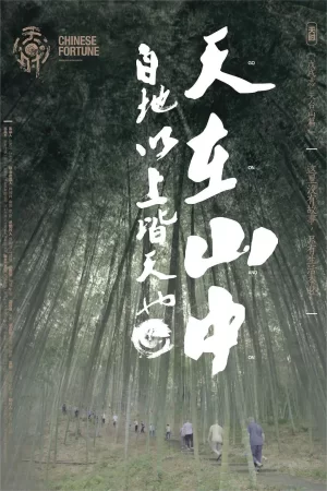 天时·戊戌志海报