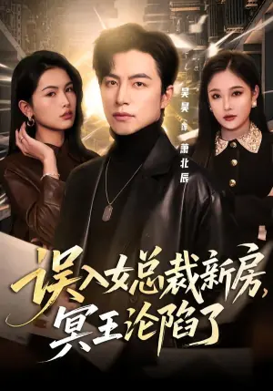 误入女总裁新房,冥王沦陷了海报