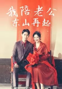 我陪老公东山再起海报