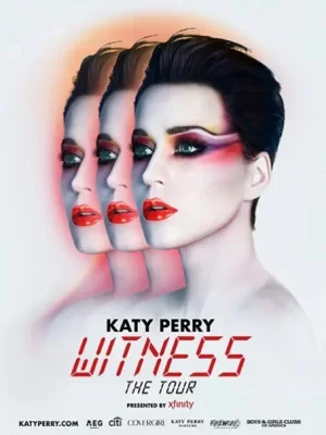 凯蒂·派瑞:你会见证我吗海报