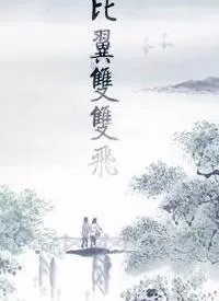 比翼双双飞海报