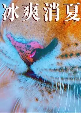 寒冰白血海报