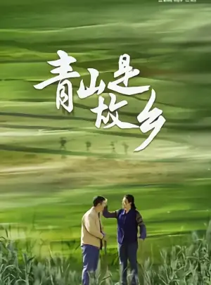 温暖的土地海报