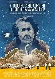 死牛的眼睛能看见整片天空海报