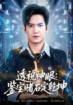 透视神眼:鉴宝赌石定乾坤海报