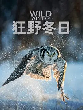 狂野冬日第一季海报