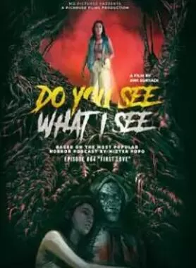 你看到我看到的吗海报