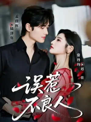 误惹不良人海报