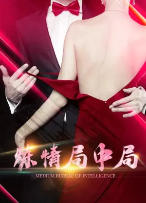 炼情局中局海报