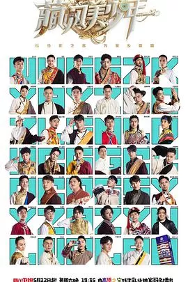 藏风美少年海报