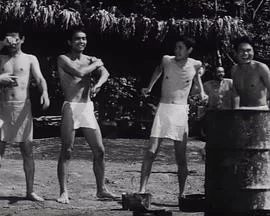 零式机:大空战海报