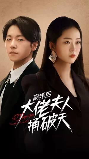 离婚后大佬夫人捅破天海报