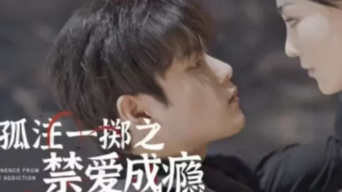 孤注一掷之禁爱成瘾海报