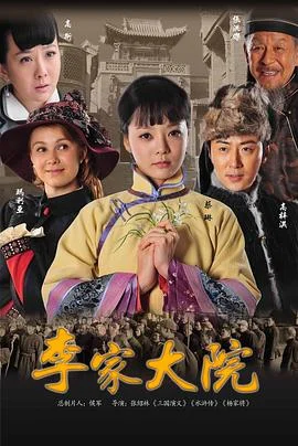 李家大院海报