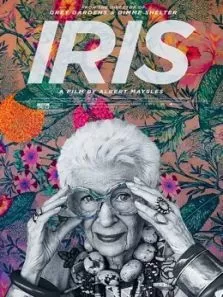 打扮美国,装点自己:九旬女神的美丽传奇海报