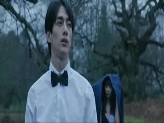 偷芯攻略海报