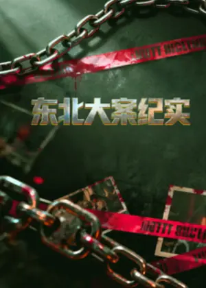 东北大案纪实海报