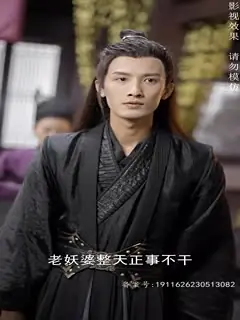 万花城海报