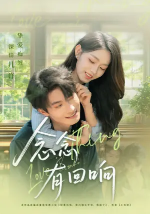 念念有回响海报