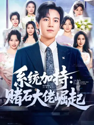 系统加持:赌石大佬崛起海报